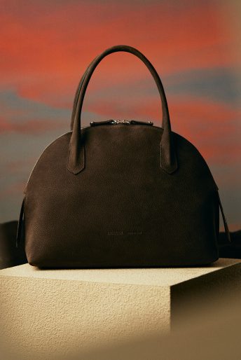 TOP - IACUCCI
