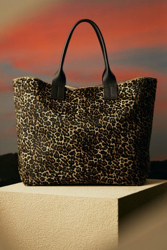 TOP - IACUCCI
